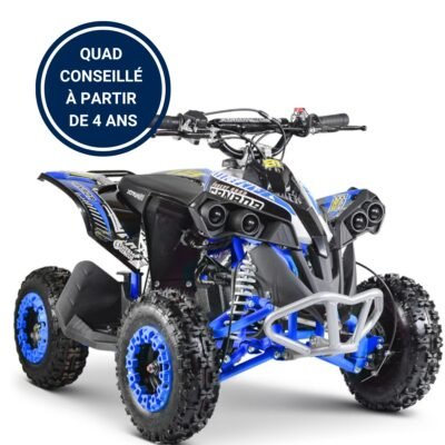 pocket quad 50cc