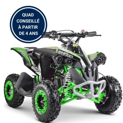 pocket quad demarrage electrique